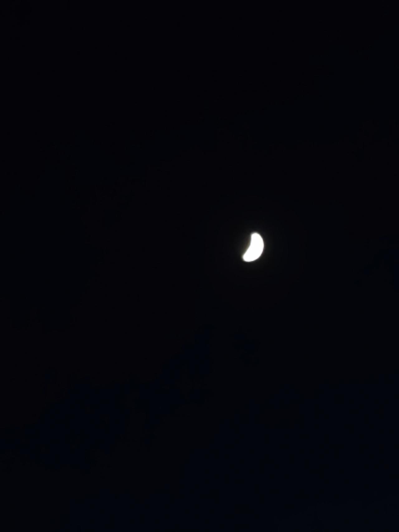 分享一下你随手拍下的照片昨晚的月亮🌙