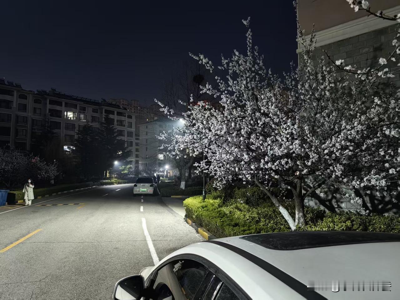 心寒呀，公司裁员这是专挑老实人下手吗？

女儿一毕业就到一家公司，近10年了，现