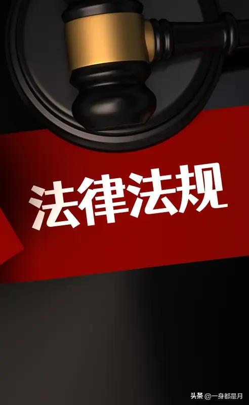 继《民法典》之后
我国可能推出第二部法典
2025年4月27日，首次提案
将于2