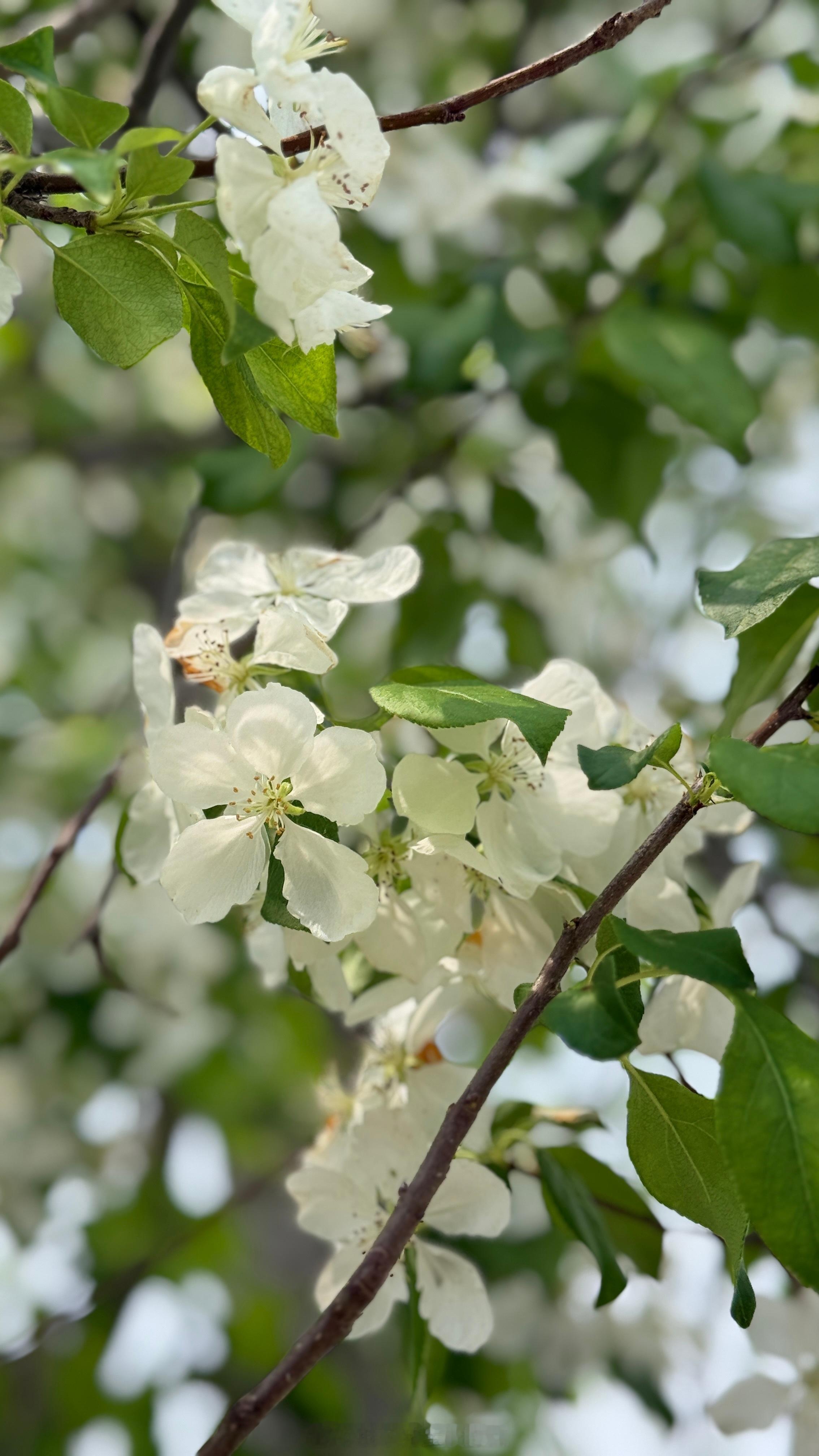 这是老公我俩婚房，因为结婚才盖的，就是在这房子结婚的，所以也有感情。等待了3周，