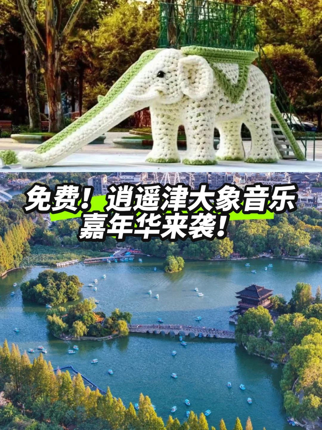 免费！逍遥津大象音乐嘉年华来袭！🎵
