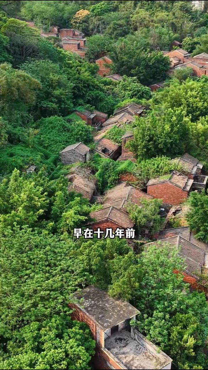 广东无人村，曾经热闹的村庄如今空无一人。
这里就是曾经有着1000多人，200多