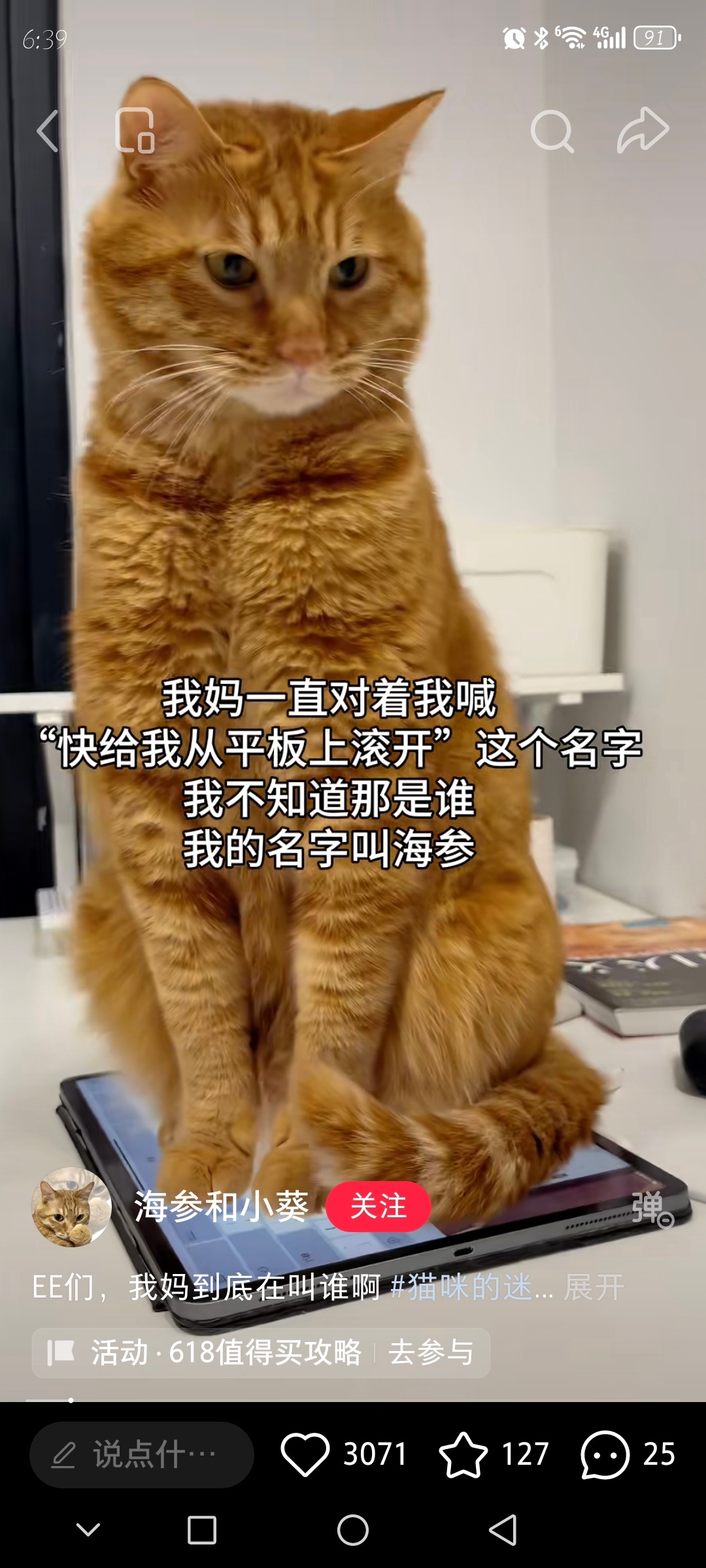🐱：巴基一直对着我喊“快给我从电脑上滚开”这个名字，我不知道那是谁，我的名字叫