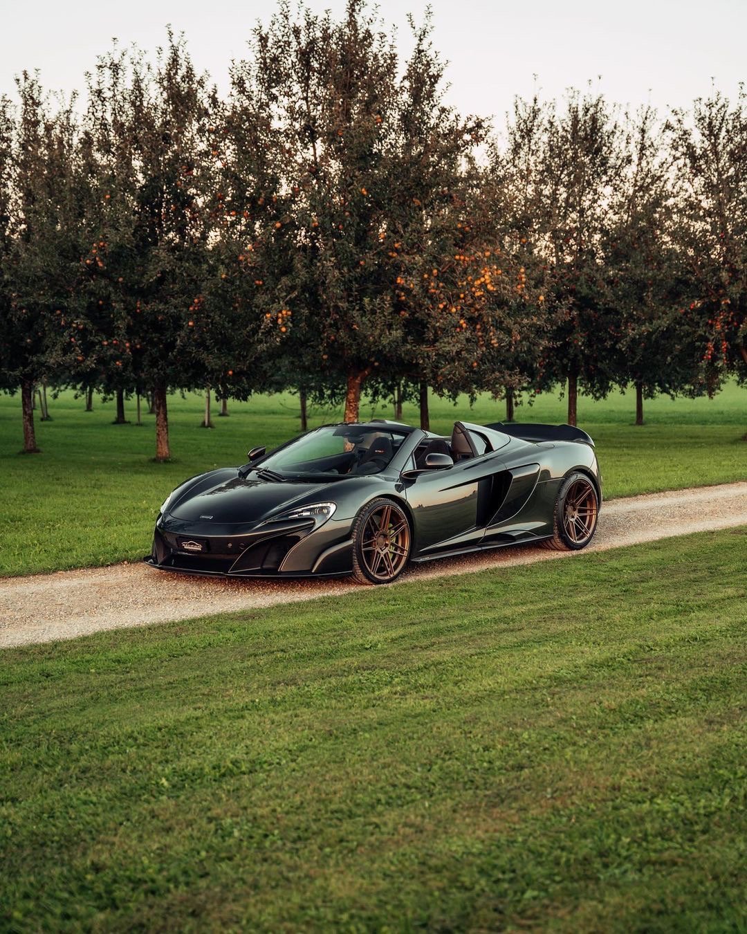 迈凯伦 675LT Spider ​​​