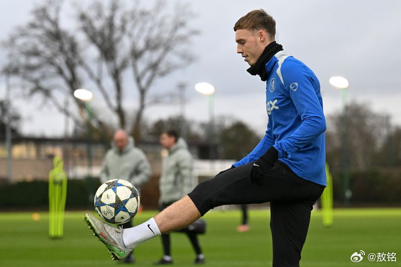 切尔西vs阿森纳 马雷斯卡在赛前发布会证实，帕尔默列入了这场比赛大名单，但马雷斯