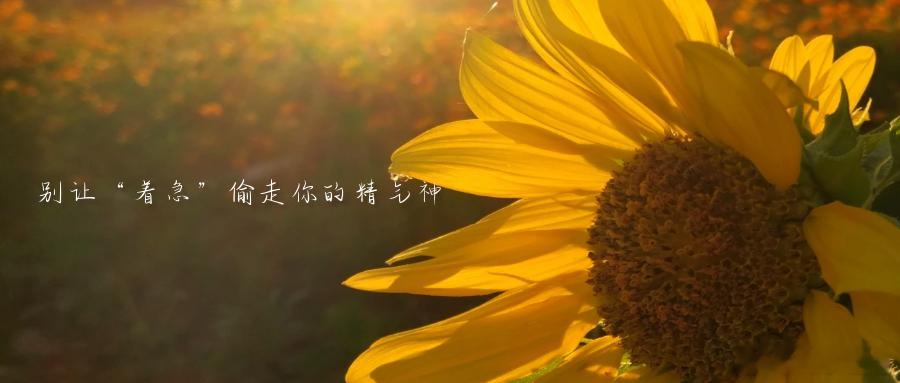 别让“着急”偷走你的精气神稳稳走好每一步，在沉稳中积蓄力量，在从容中迎来绽放。在