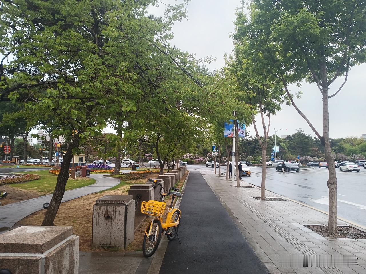 周末
今天周日，早晨天就下雨，本来想早点去儿子家看孙女，看下雨就等雨停。
今天是