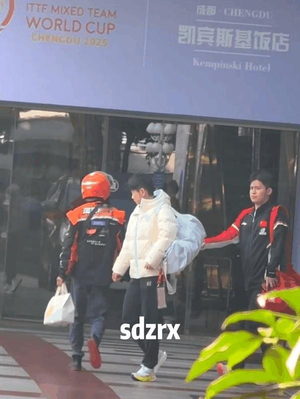 11月27号两小只上训，头哥终于穿羽绒服了！上午参加活动肯定冻坏了，不然不会突然