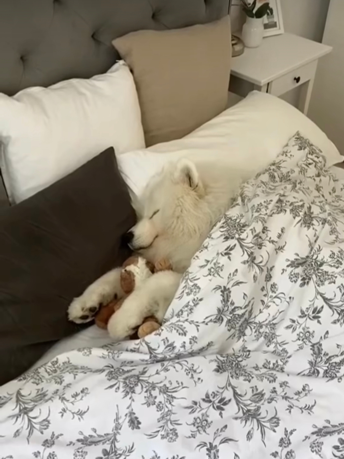 晚安耶 