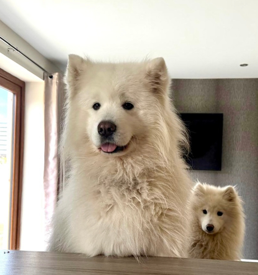 请问我们可以来蹭饭吗？ 