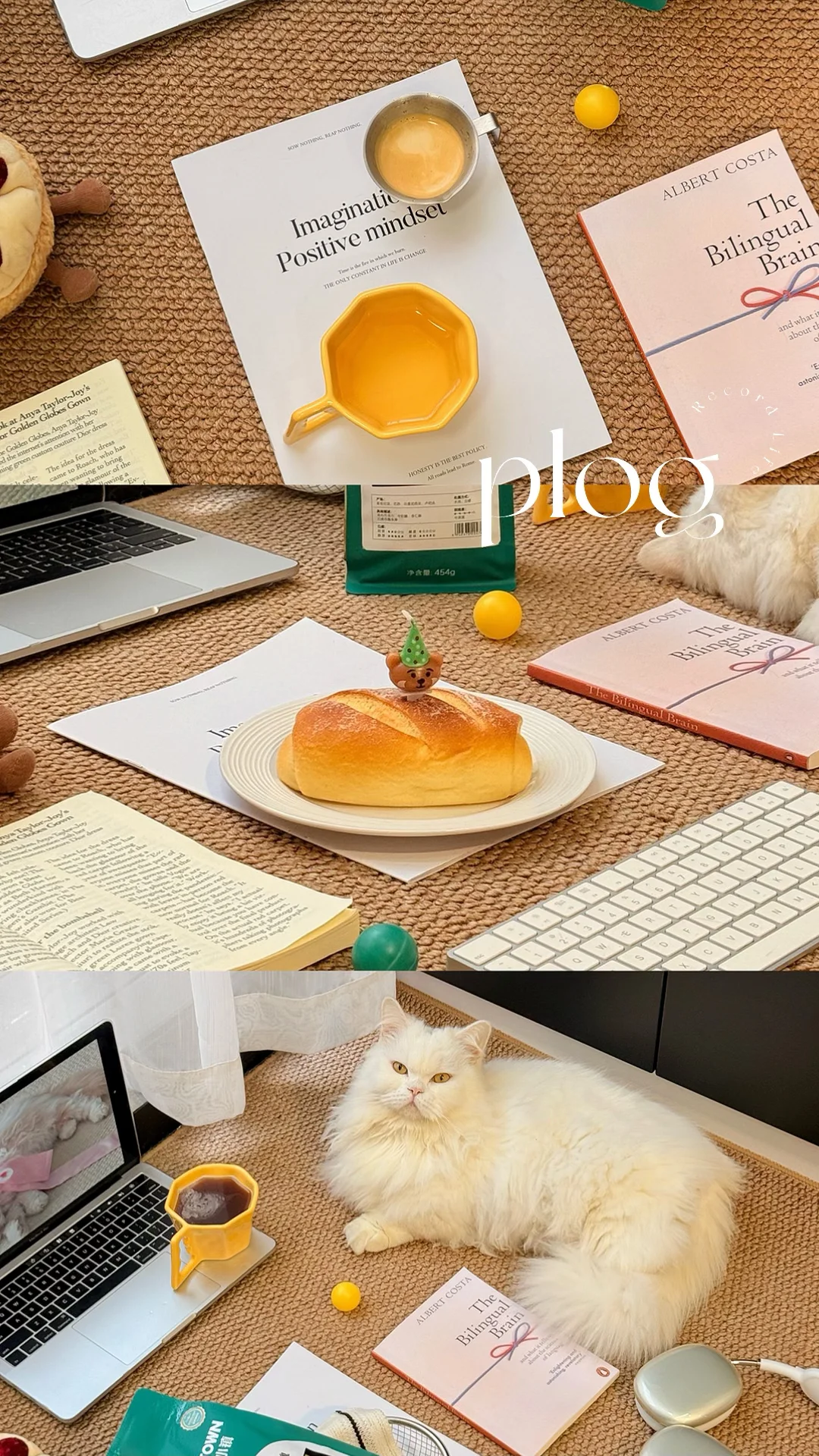 My life|咖啡日常，健康早餐🍳