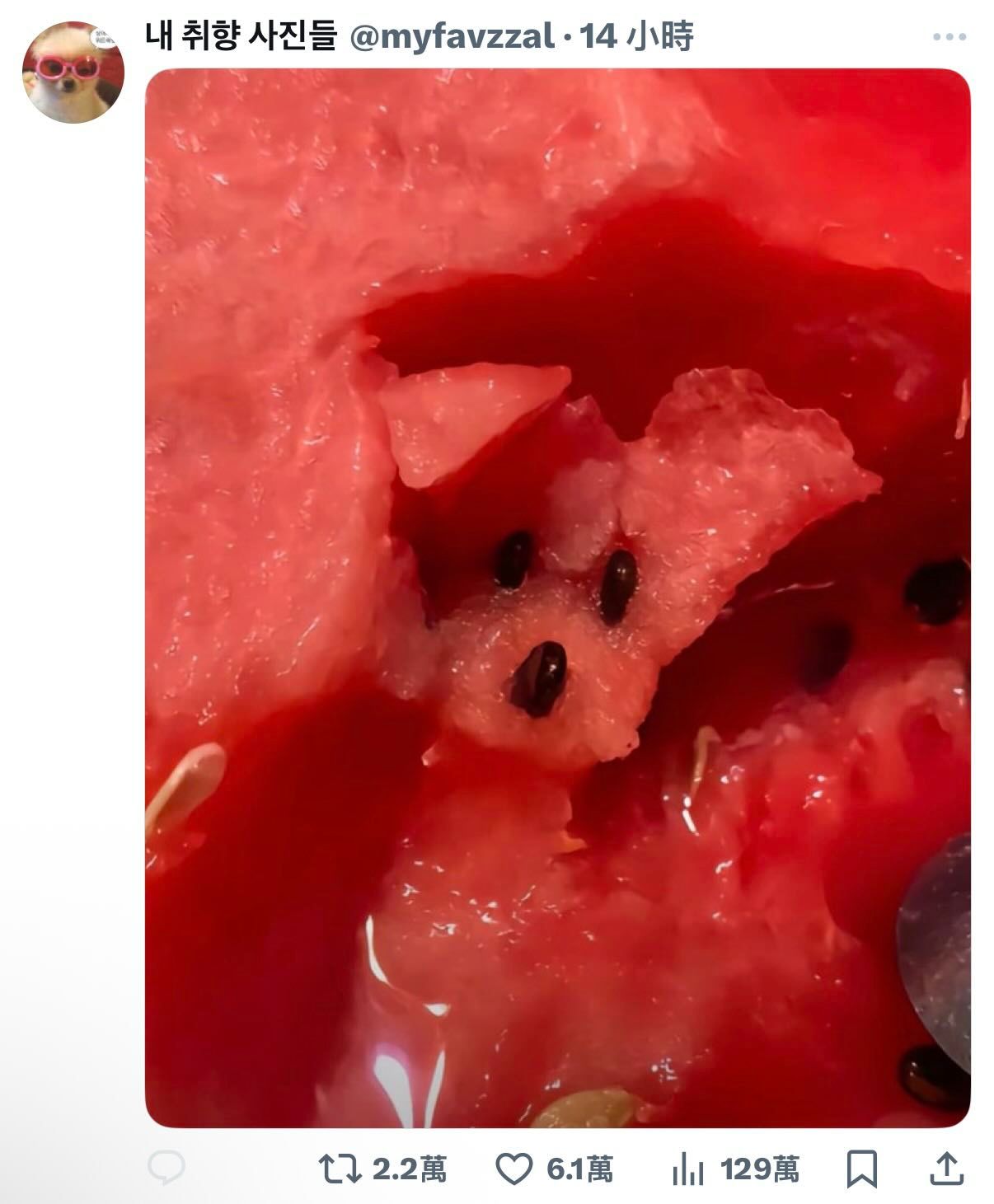 西瓜味的小狗勾 ​​​