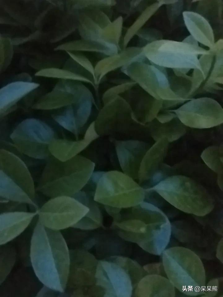 我理想的生活，其实没那么远大，就是一个普通打工人过踏实的小日子。

不用为房租和