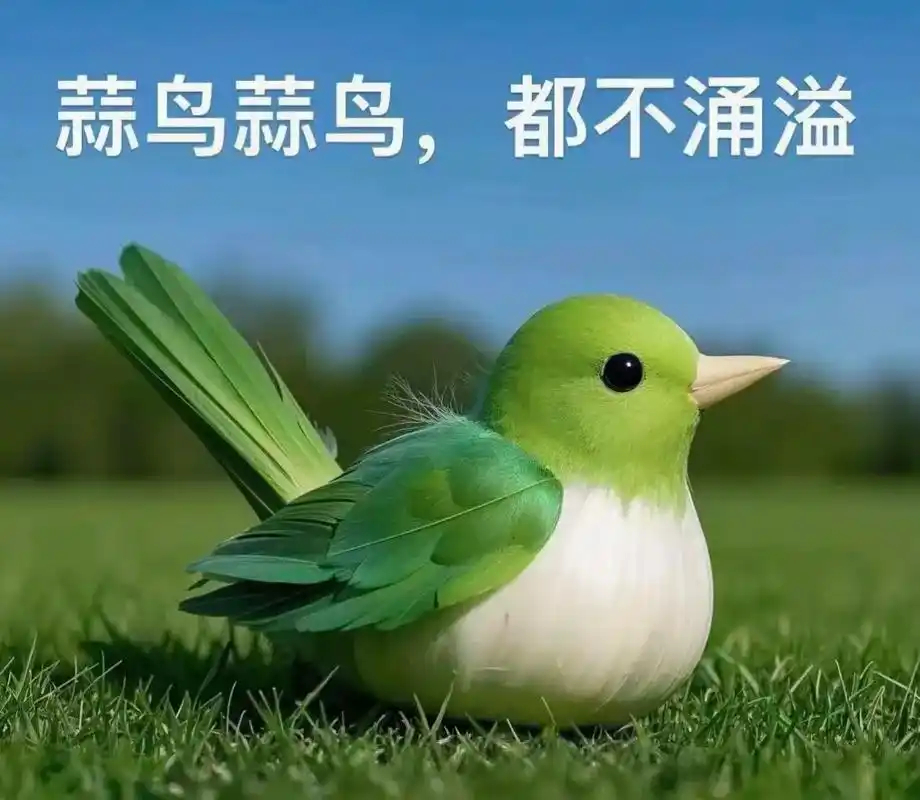 抛开其他的部分，我觉得伪军这个形容有点不妥首先，市场本就是开放的，不能因为一个消