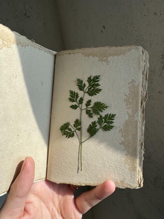 🆘有人说太脏了，要扔垃圾桶🚮，我该怎么解释