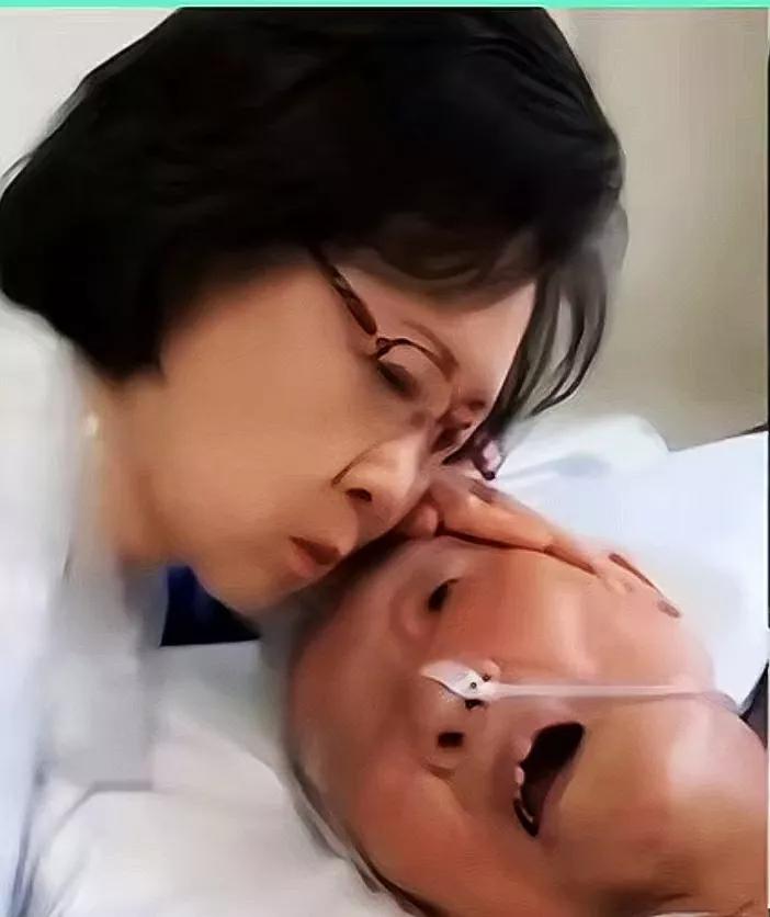 七年前很多人都误会了琼瑶，七年之前，琼瑶的伴侣平鑫涛先生已步入晚年，却不幸患重病