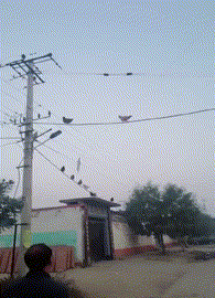 我在下面等着烧鸡[泪奔]