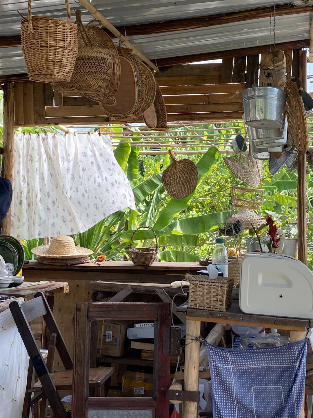我为什么会选择在广州番禺当农场主👩🏻‍🌾