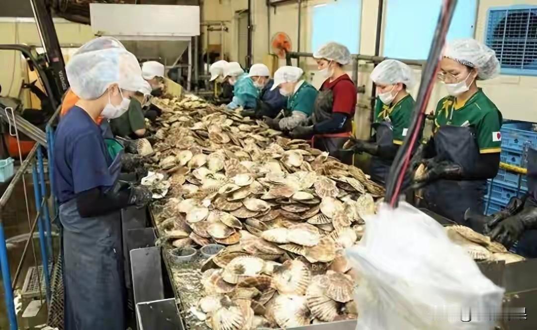 高市早苗让日本全世界丢人？她的一句话：台湾有事，就是日本有事。让世界人民重新掀开