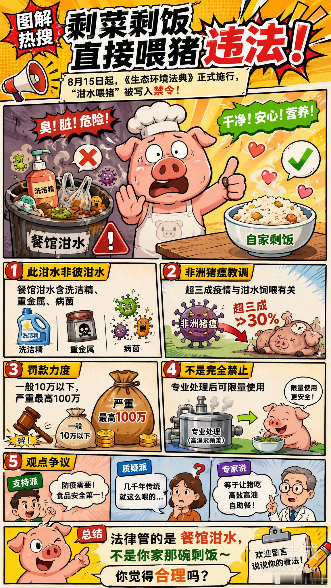 剩菜剩饭直接喂猪违法仔细看这个规定其实很需要现代餐饮的食品安全问题始终需要多重视
