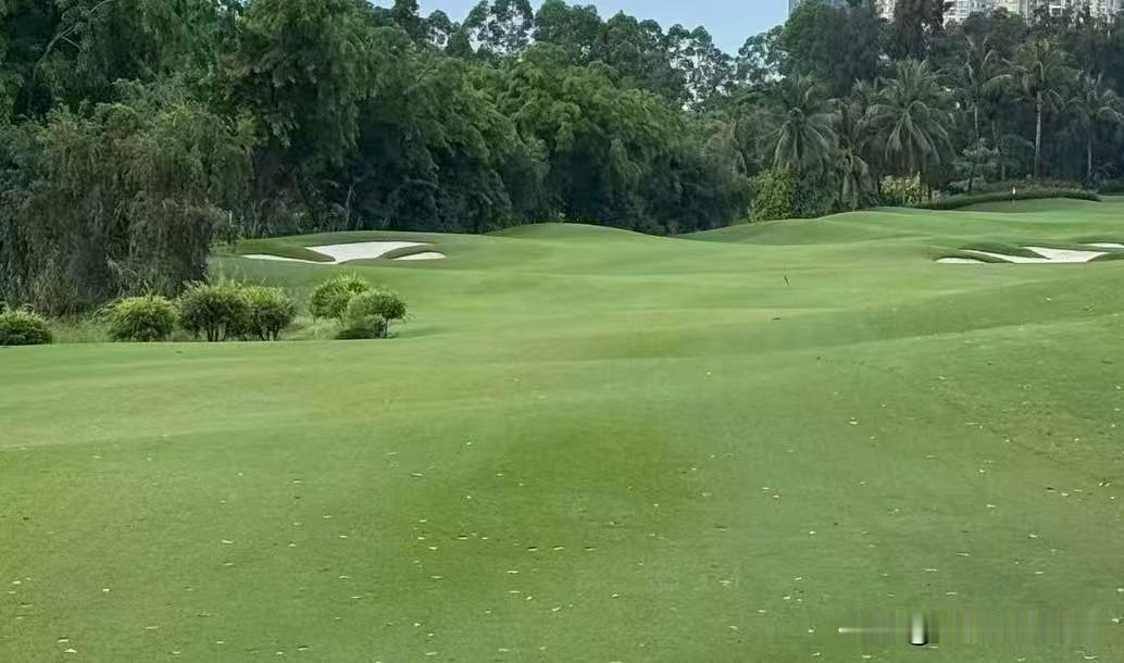 ❤️生命是一个蜕变的过程，其中虽然会有曲折，但完善内心的初衷不会改变。不断复盘，
