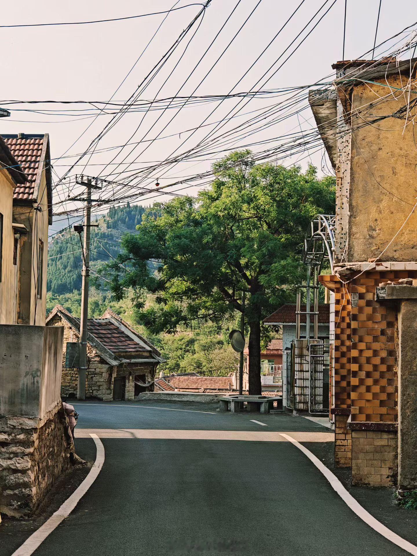 走走转转乡村