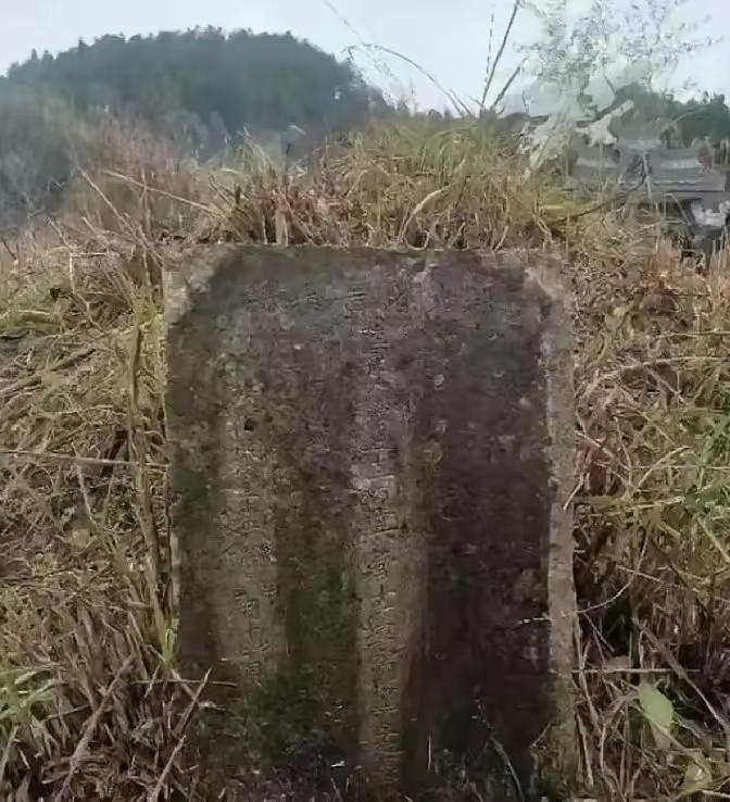 一个深圳女老板叫周敏，回贵州老家给父亲迁坟时，顺手清理了旁边1座野坟，结果墓碑上