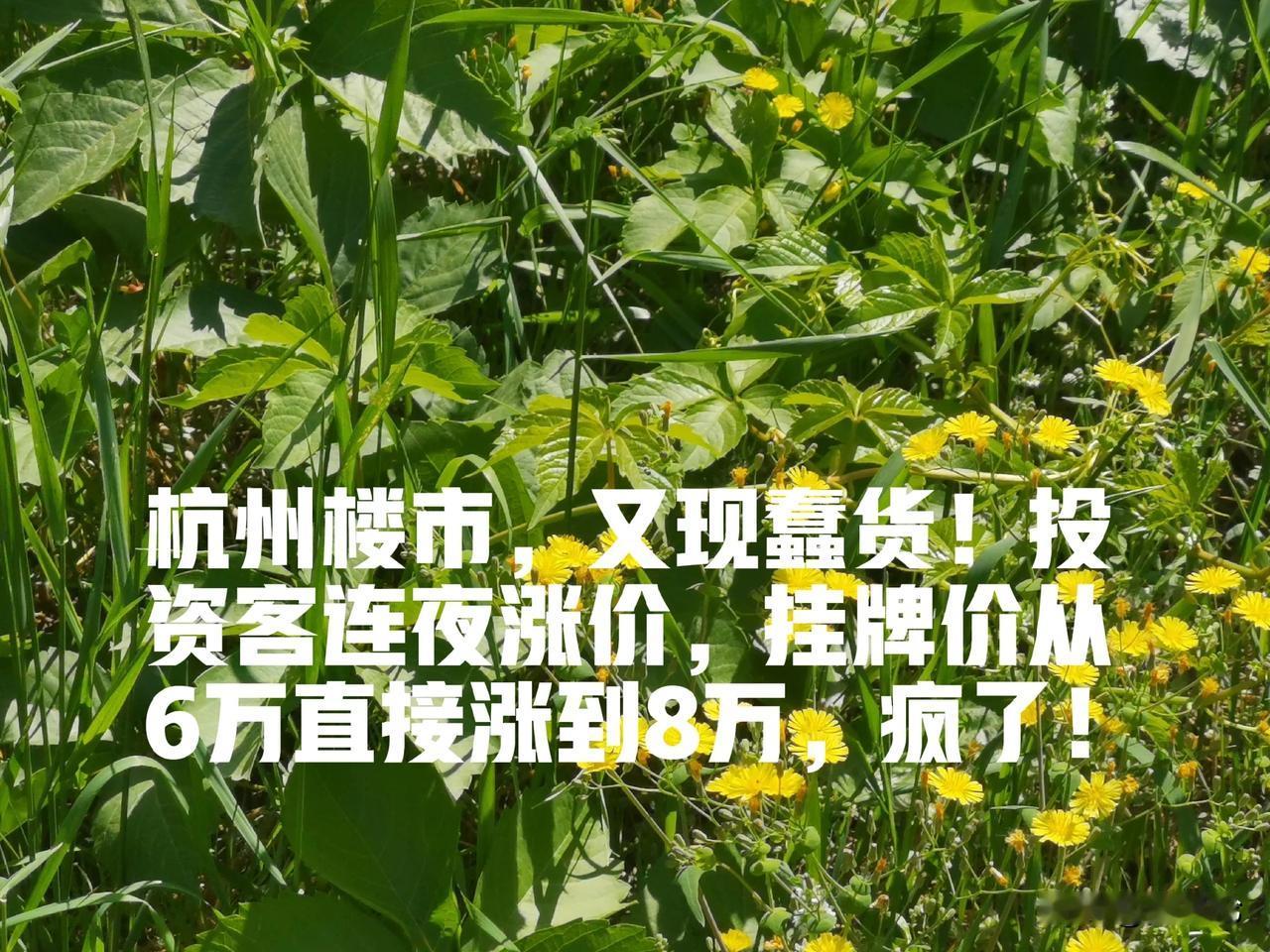 发现没有，房地产市场之所以走到今天，其实就是源于一个字：贪！

过去，开发商、投