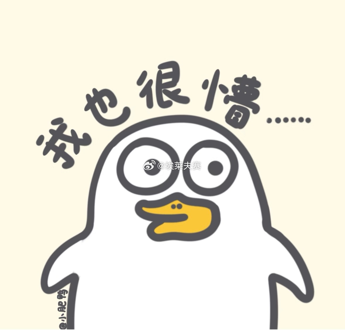 北京首钢北京男篮vs浙江男篮 麦基投进了加盟北京队后的第一粒三分球。赵睿打的真好