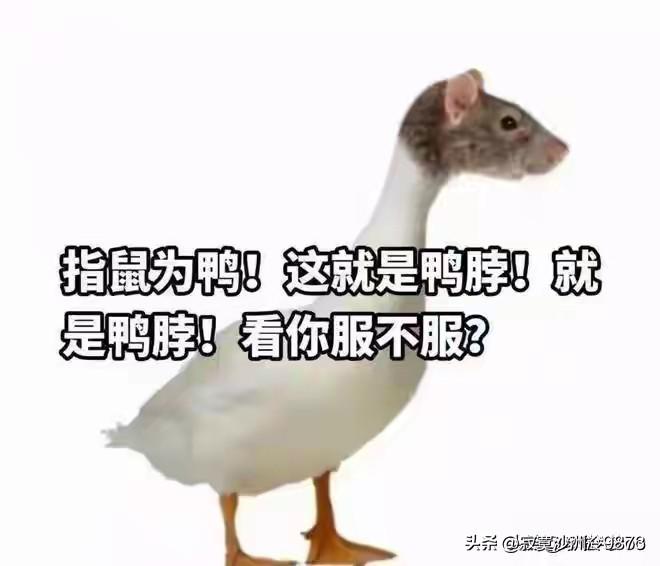 前几年整出了“指鼠为鸭，提灯定损”这样的“成语”。
最近，收割麦子又闹出了“割四