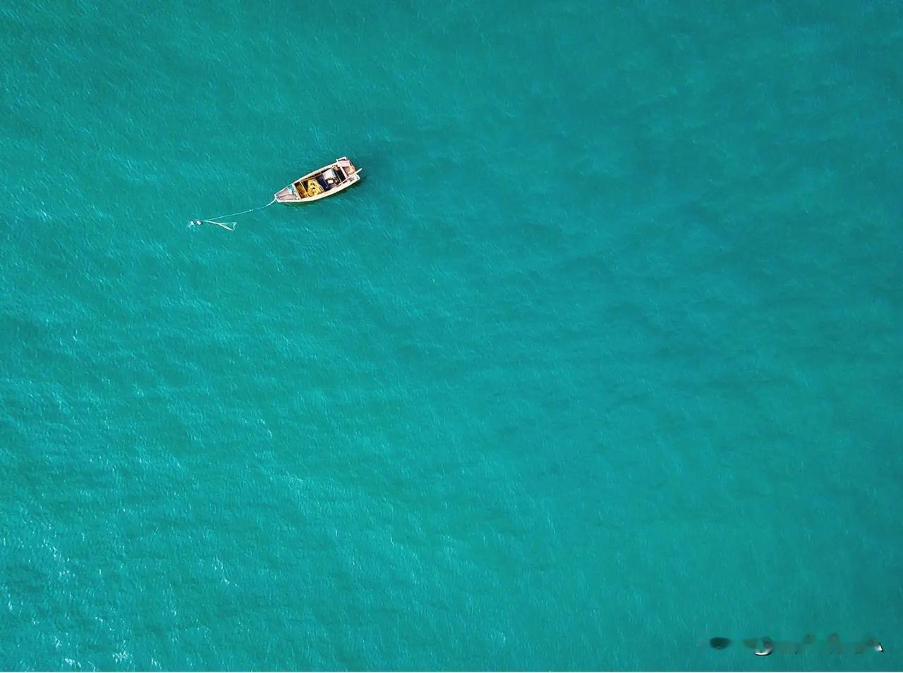 快来看看我新换的主页背景吧