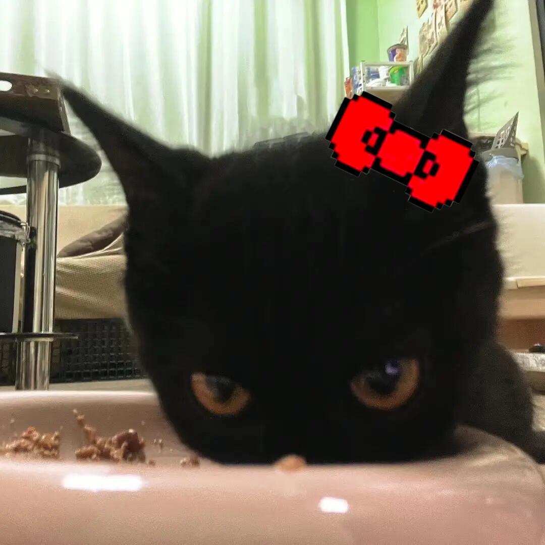 拜见小猫大王ฅ₌᳐･֊･₌᳐⁺₊⋆☆ 