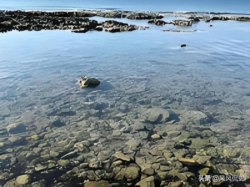 全世界的目光都钉在中东乱局上，炮火与博弈吸走了所有关注，日本却抓住这个空档，悄悄