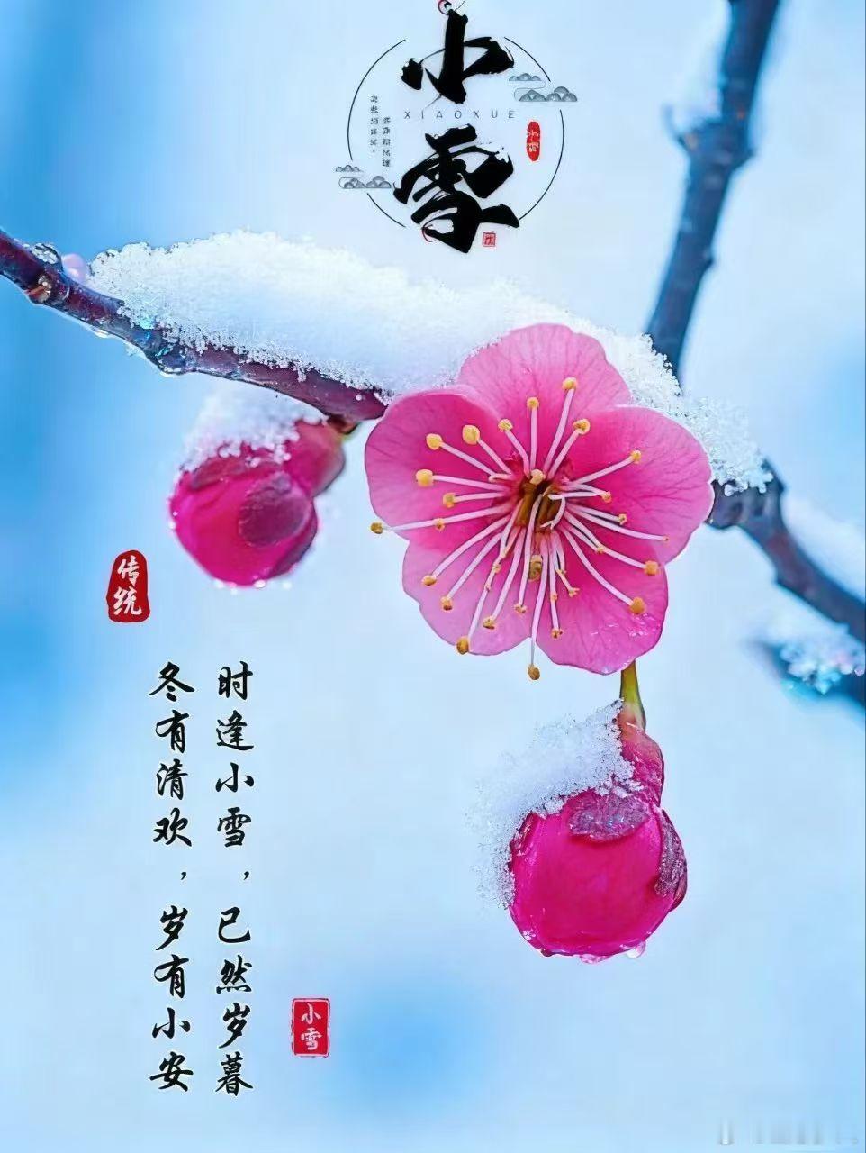 今日小雪，天冷寒重，流感爆发，防寒防冻防滑防摔防感冒，千方保重身体过好冬！祝福各