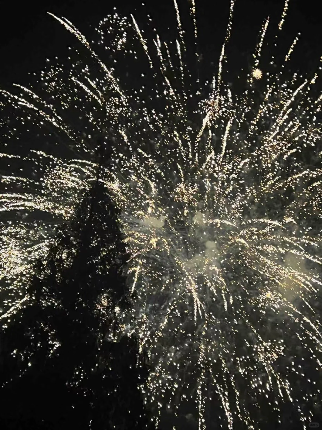 对着烟花许个愿🎆
