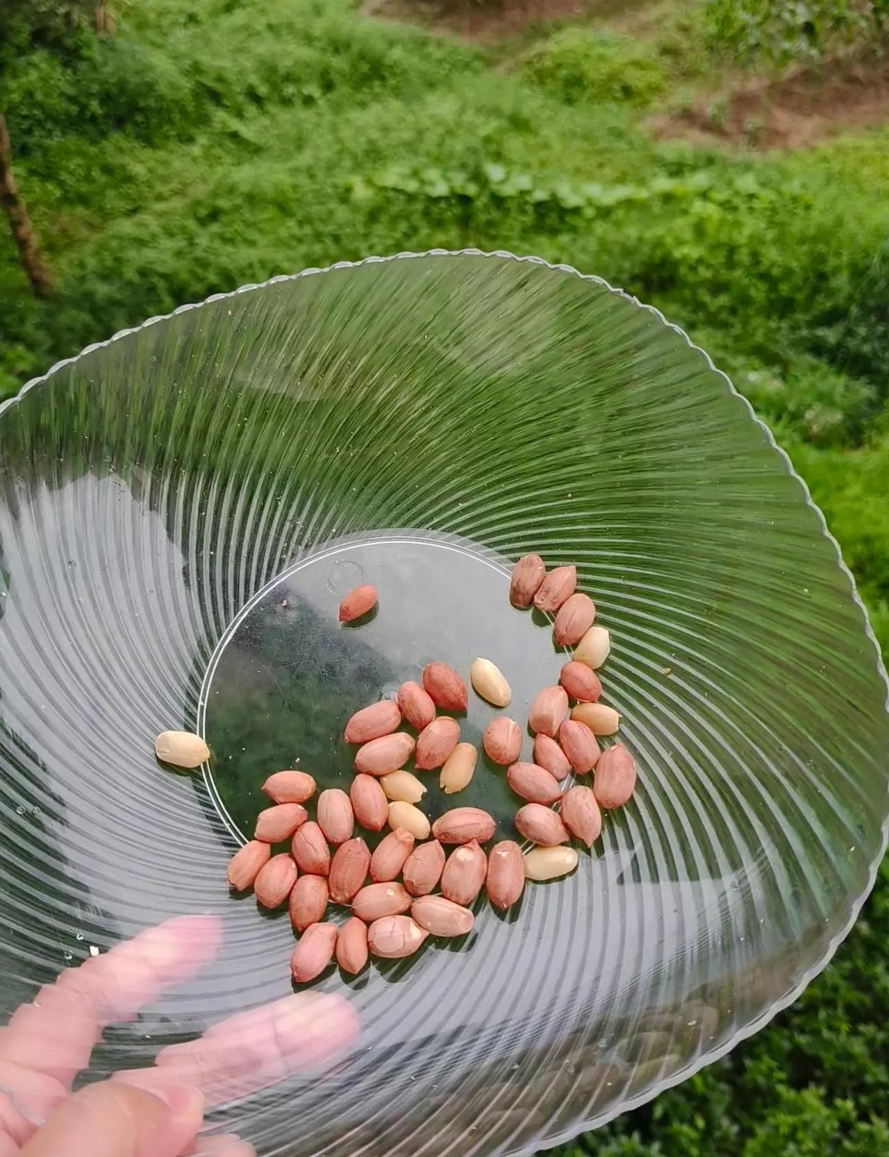 斯诺克锦标赛1/4决赛，吴宜泽13-8瓦菲，晋级四强！当8强全员盯着赵心童，却杀