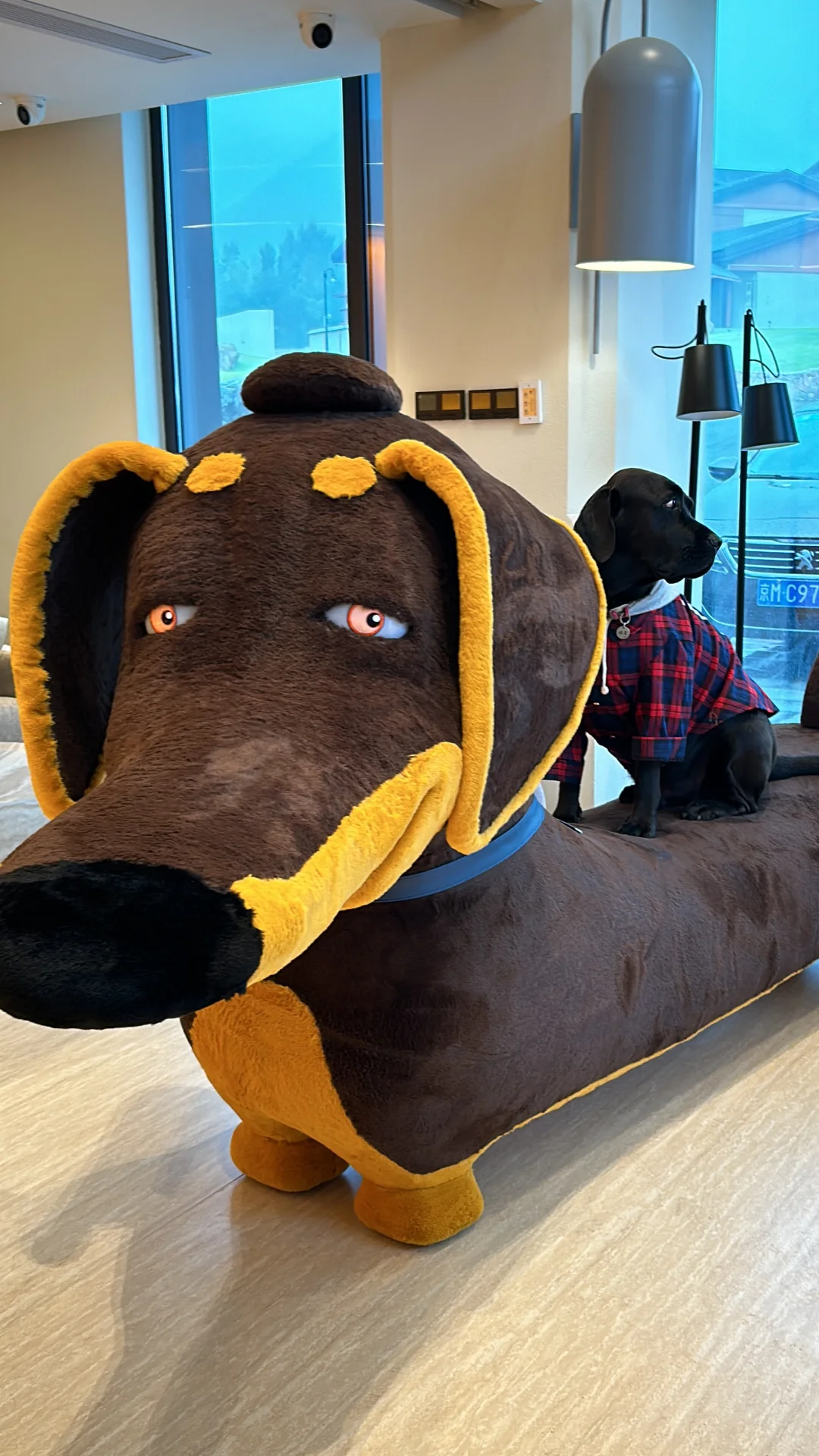 我定做了一个腊肠沙发，开始觉得巨丑..