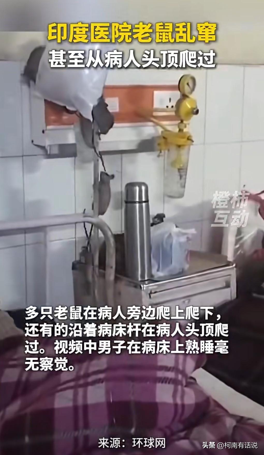 这也太吓人了吧，竟然这么多老鼠在医院里爬来爬去的。
1月14日报道，印度医院老鼠