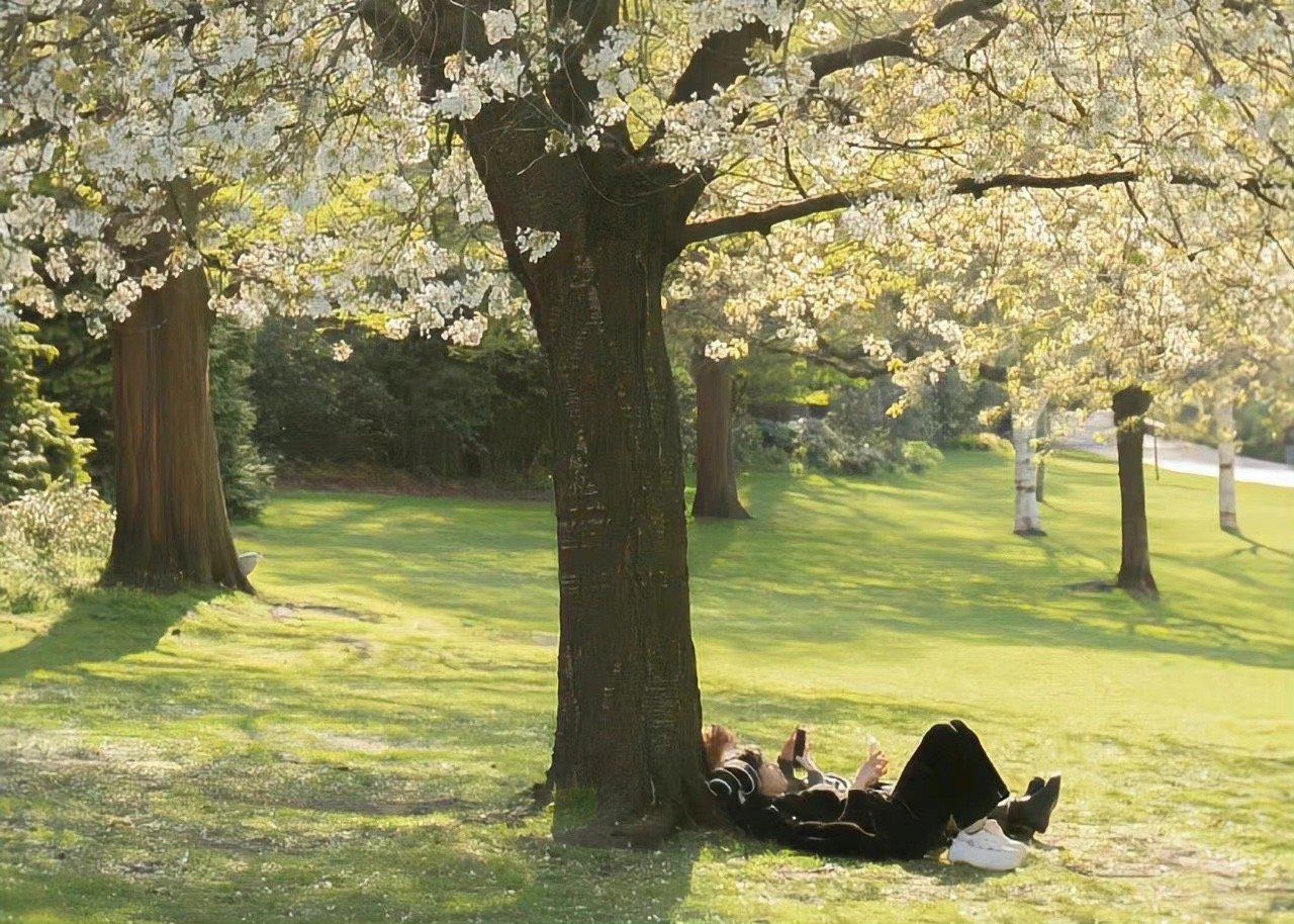 “人的一生，除了发自内心的幸福和盗不走的健康，没有什么是值得炫耀的。”   