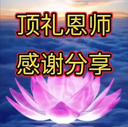 感恩，是一种温暖而美好的情感。恰似西方的感恩节，虽源于西方，感恩却始终常驻于每个