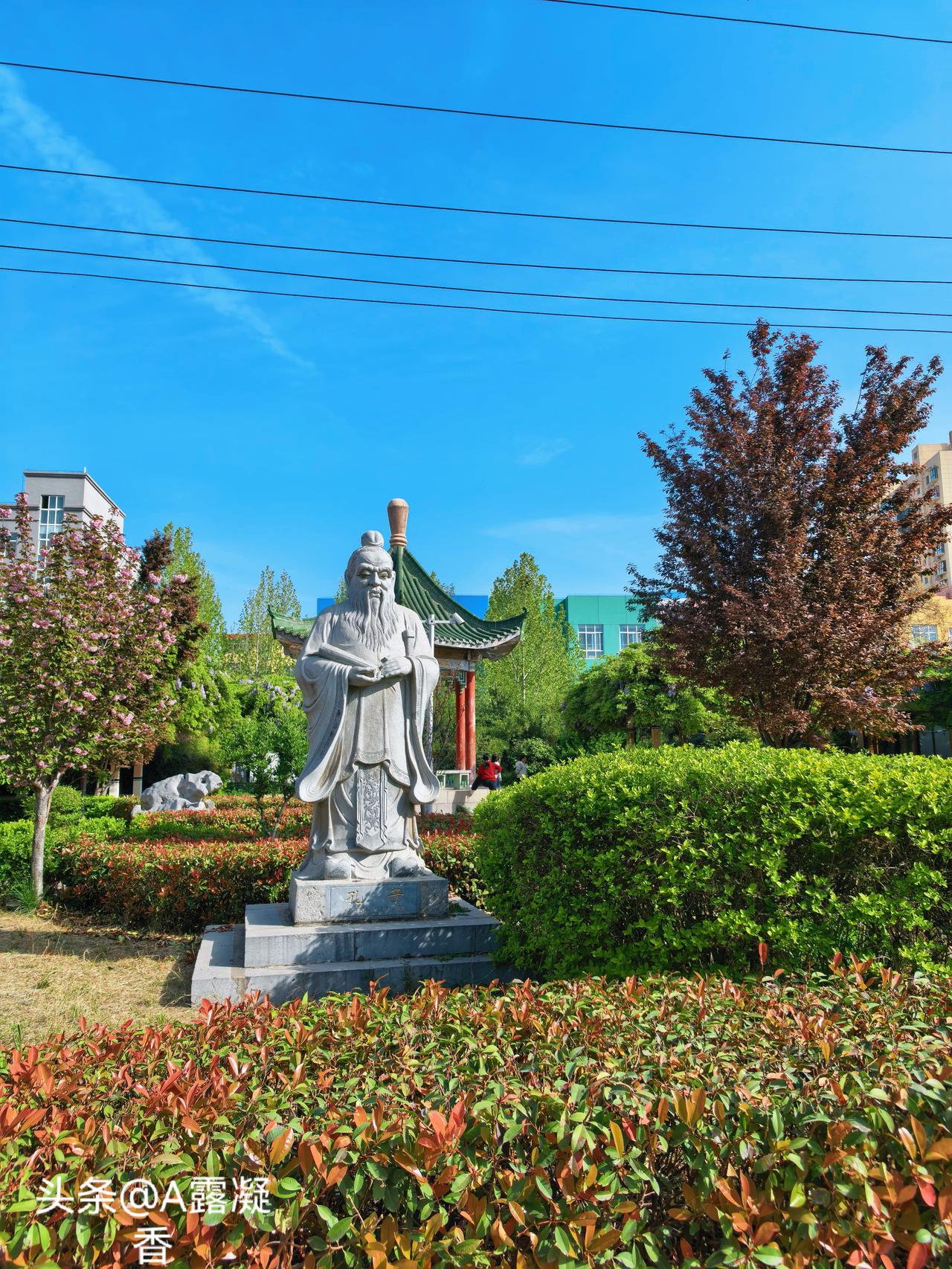 向2026年红色之旅第三站出发[呲牙]
杨虎城在当年，是孙中山亲自为他办理的正式