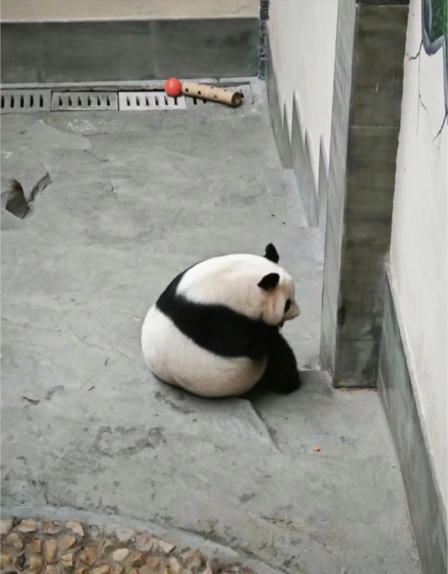 华丽丽：咋还不下班啊，好难熬啊！ ​​​