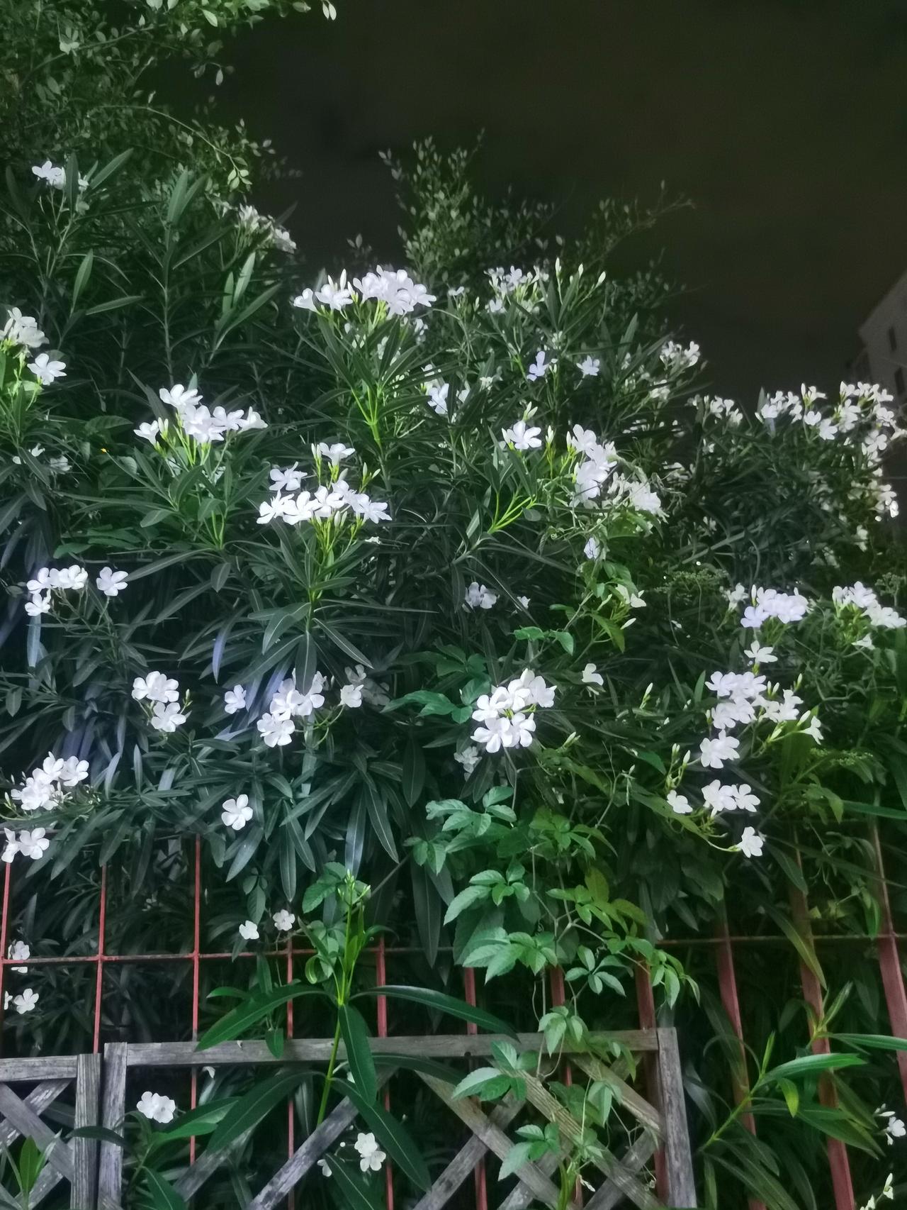 你有没有发现，人生大部分烦恼，都是自找的？
执着一段变冷的关系，反复内耗、不肯释