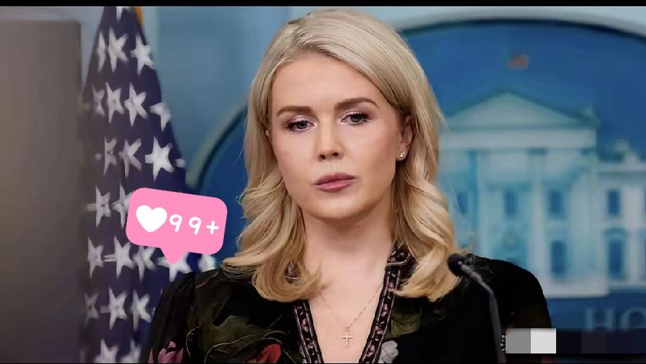 突发新闻：白宫新闻秘书卡罗琳·莱维特今天（北京时间1月7日）表示：“特朗普总统已