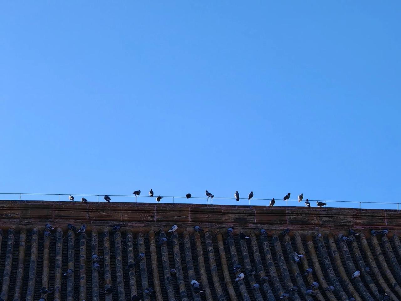 一年存10w，十年才能存到100w
而且我根本做不到一年存十万...
我现在知道