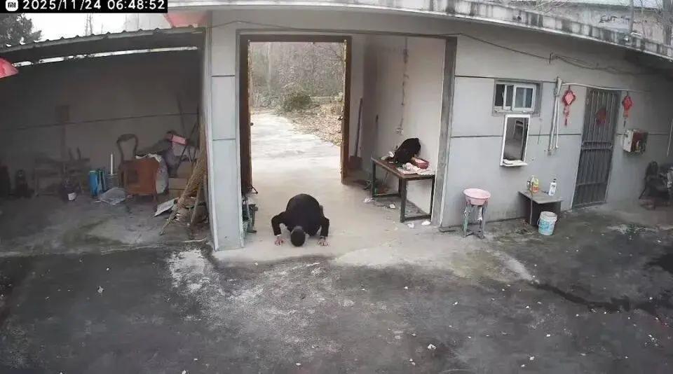 那把锁落下的声音，比想象中更沉重。

39岁的他，在空荡的老宅前磕了三个头。布满