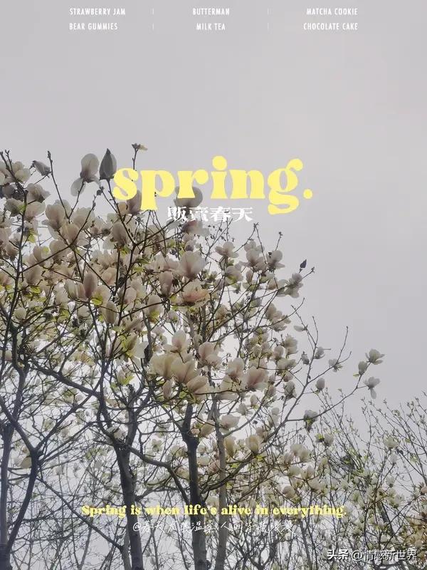 春日生活打卡季 春日生活打卡季，这不是任务，是和时光的温柔约见。春天总是悄无声息