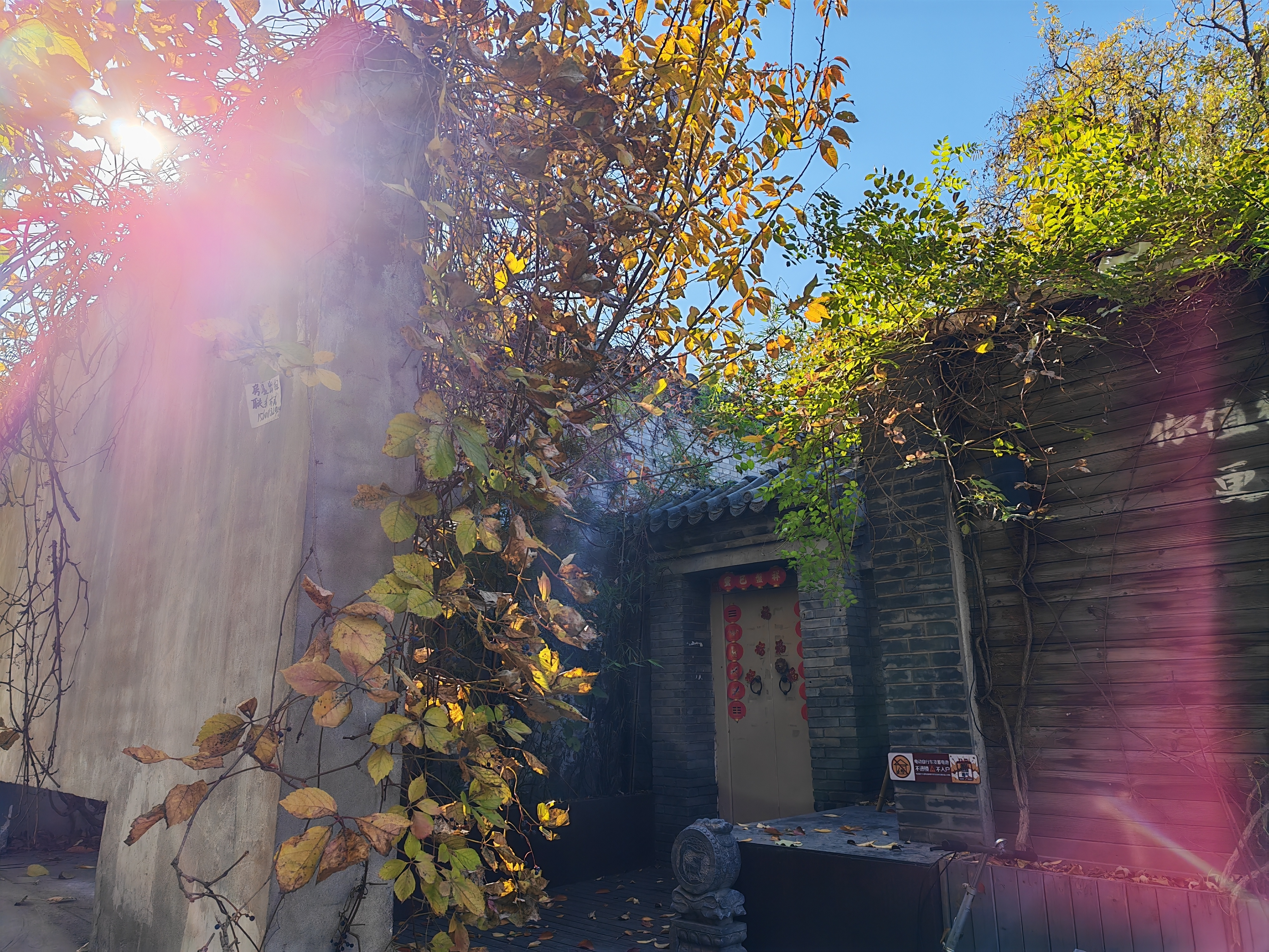 一不小心被阳光施了魔法    ……………………………………………………     