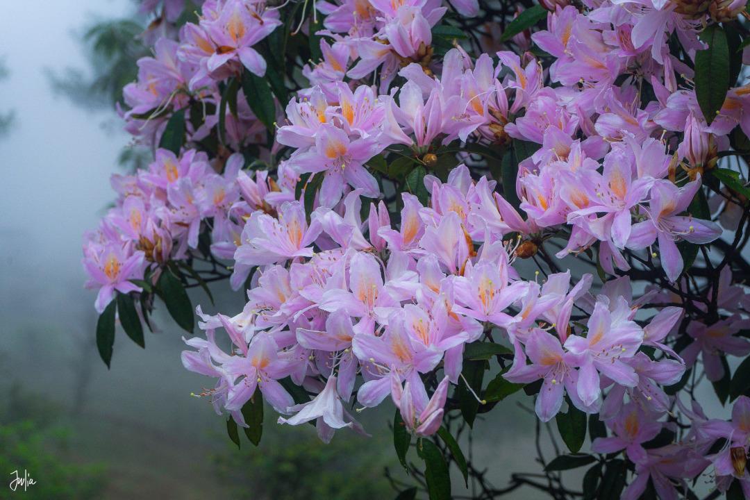 周一突发重磅新消息，周二大A能否迎来强势修复？
周一新消息如下：
其一，据媒体报