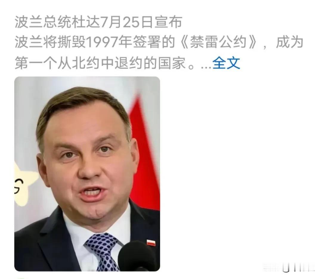 在自己的国家埋地雷
危害的难道不是自己国家的人吗？
为什么搞得好像取得了什么重大